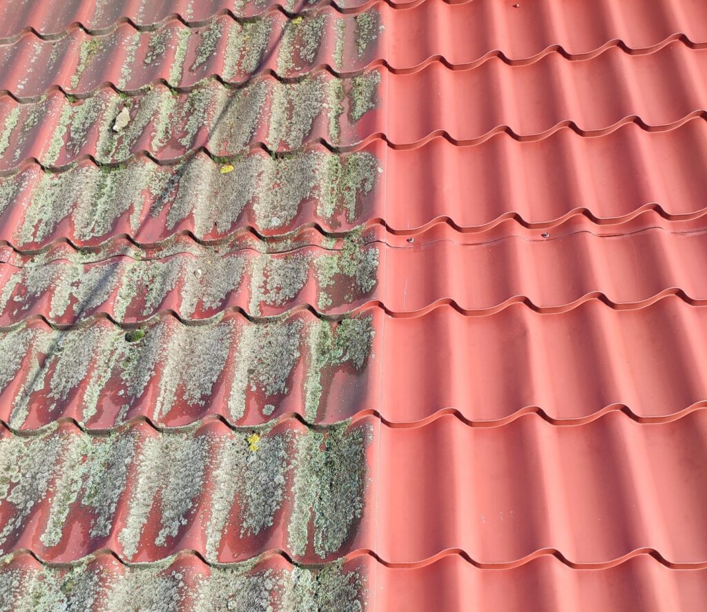 image2 e1770911859575